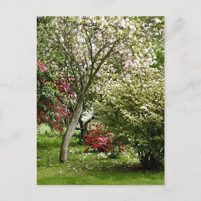 Cartão Postal Springtime (Frente)
