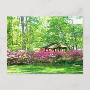 cartão postal "Springtime At Toledo Botanical Gard