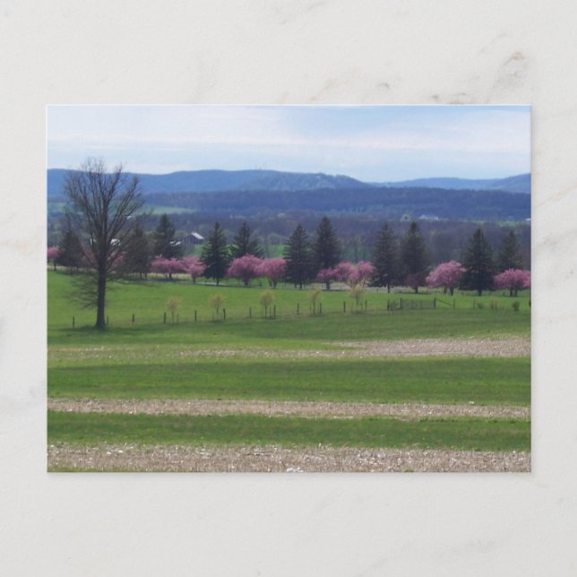 Cartão Postal Springtime Em Gettysburg (Frente)