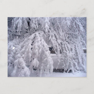 Cartão postal Springtime em Wisconsin