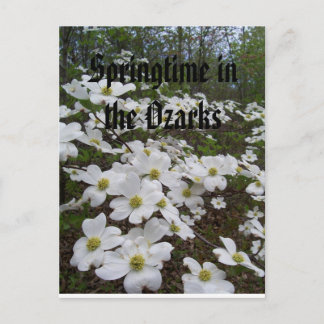 Cartão Postal Springtime nos Ozarks