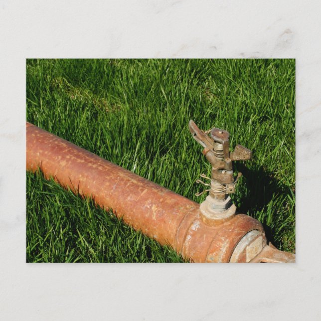 Cartão Postal Sprinkler (Frente)