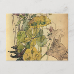 Cartão Postal Spurge Com Yham Flowers Charles Rennie Mackintosh