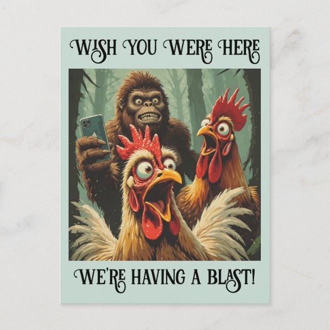 Cartão Postal “Squawk & Snapshot” Cheesy Chicken (Frente)