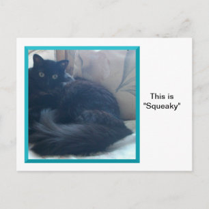Cartão Postal Squeaky em um Cartão-Postal