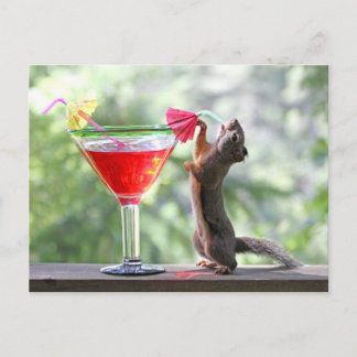 Cartão Postal Squirrel Drinking a Cocktail at Happy Hour
