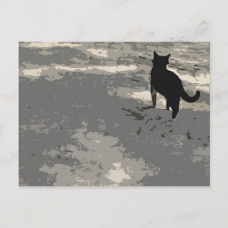 Cartão Postal Sr. Cat Postcard 010