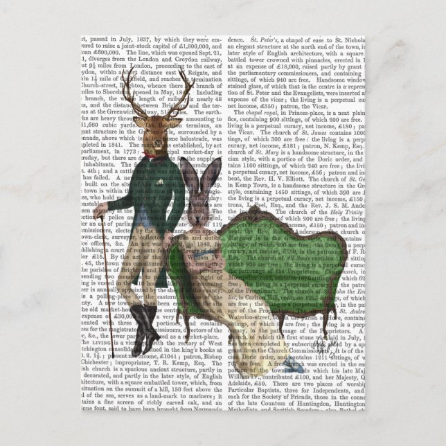 Cartão Postal Sr. Deer e Sra. Rabbit (Frente)