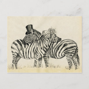 Cartão Postal Sr. e Sra. Zebra Rico casal