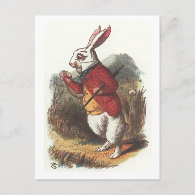 Cartão Postal Sr. Rabbit! (Frente)