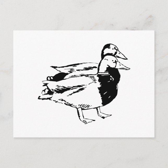 Cartão Postal Sr & Sra Pato (Frente)