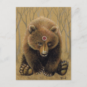 Cartão Postal Sr Urso