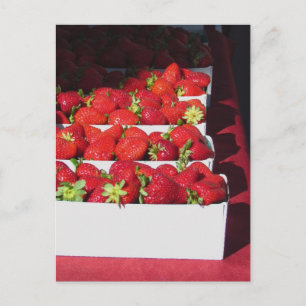 Cartão postal - Srawberry Baskets (vrt)