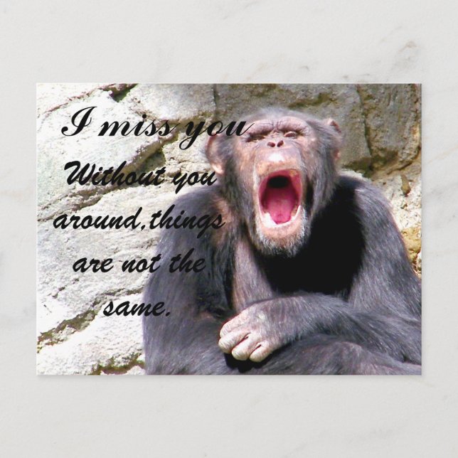 Cartão Postal Srta. (Frente)