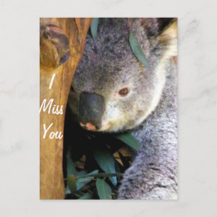 Cartão Postal Srta.