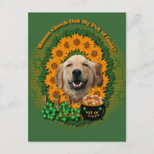 Cartão Postal St Patricks - Pote do Ouro Dourado Retriever Micke