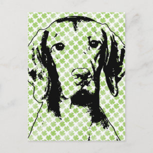 Cartão Postal St Patricks - Silhueta de Vizsla - Reagan