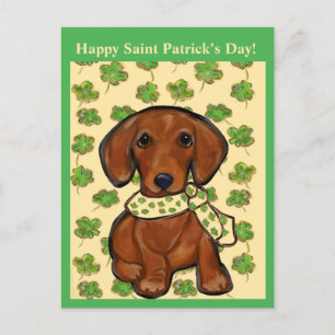 Cartão Postal St.Patty Doxie