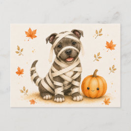 Cartão Postal Staffordshire Bull Terrier Múmia Halloween