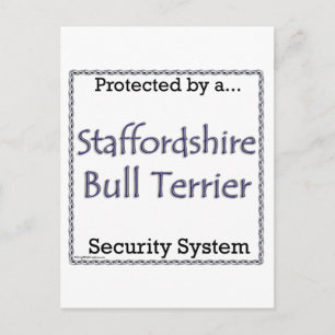 Cartão Postal Staffordshire Bull Terrier Security System