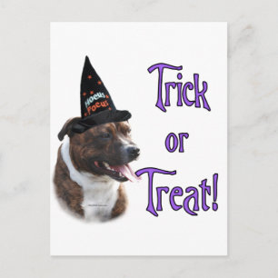 Cartão Postal Staffordshire Bull Terrier Trick