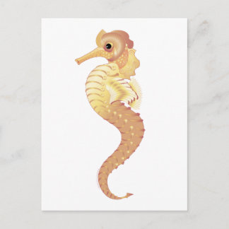 Cartão Postal Stallion Red Sea