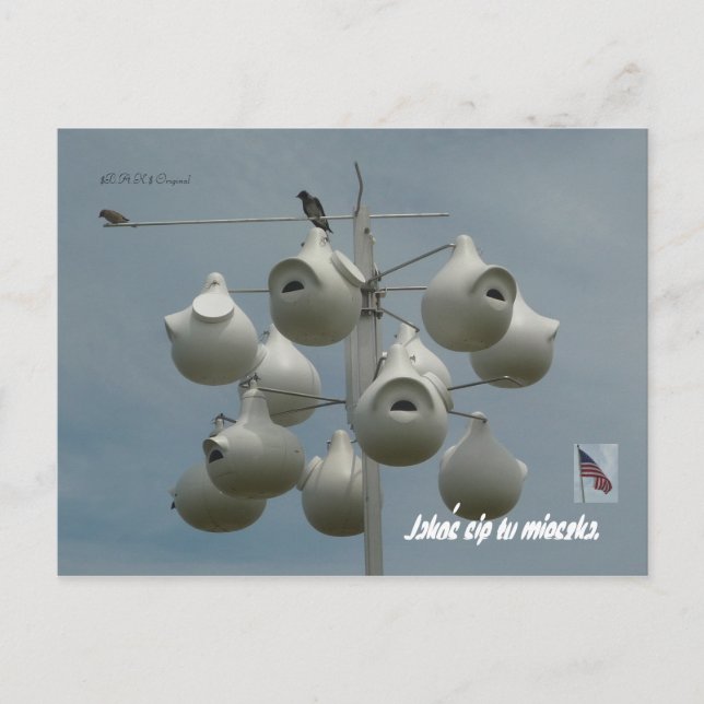 Cartão postal Stamford Ct (Frente)