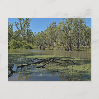 Cartão Postal Standard postcard