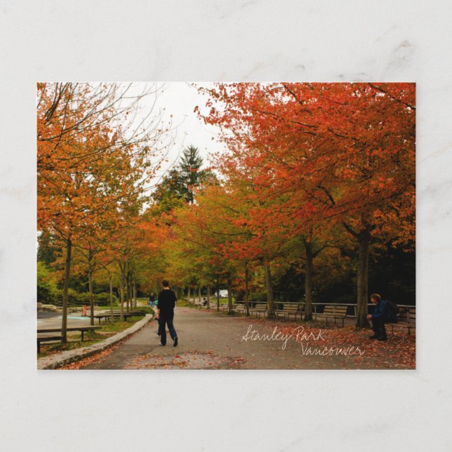 Cartão Postal Stanley Park (Frente)