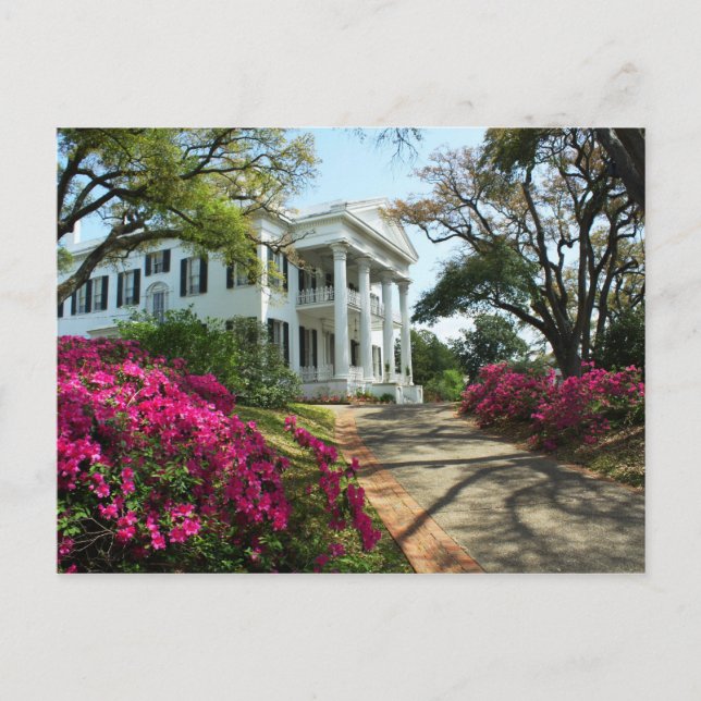 Cartão Postal Stanton Hall - Primavera em Natchez, Mississippi (Frente)
