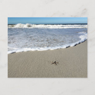 Cartão Postal Starfish à espera das ondas