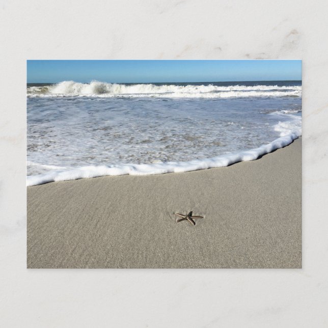 Cartão Postal Starfish à espera das ondas (Frente)
