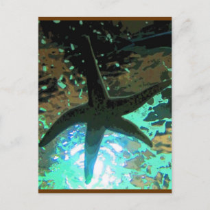 Cartão Postal Starfish CB