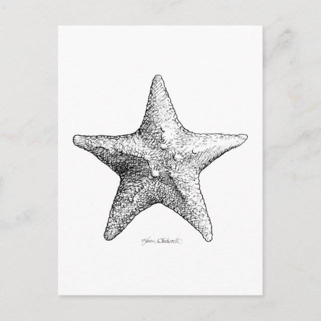Cartão Postal Starfish Desenhando Arte nas Estrelas do Mar Negro (Frente)