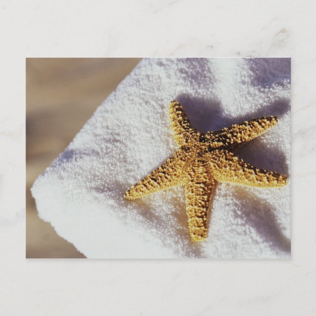 Cartão Postal Starfish Em Uma Toalha (Frente)