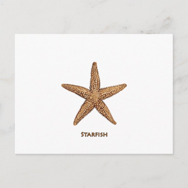 Cartão Postal Starfish - Estrela do Mar Norte (Frente)