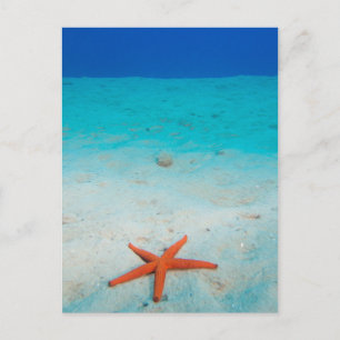 Cartão Postal Starfish numa duna de areia submarina