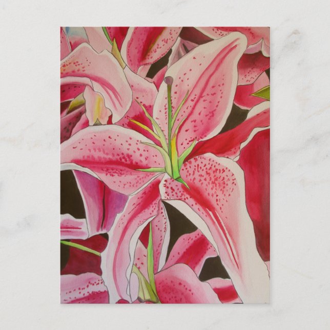 Cartão Postal Stargazazer Pink Lily Lily - Lily - Lily - Lily -  (Frente)