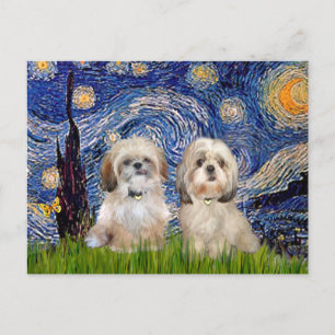 Cartão Postal Starry Night - 2 Sihih Tzus (P+Y)