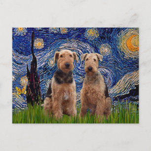 Cartão Postal Starry Night - Airedale Terriers (dois)