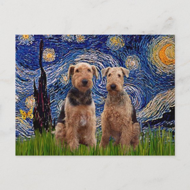 Cartão Postal Starry Night - Airedale Terriers (dois) (Frente)