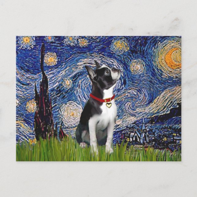 Cartão Postal Starry Night - Boston T (2rc) (Frente)