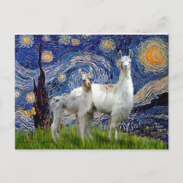 Cartão Postal Starry Night com Dois Lhamas (Frente)