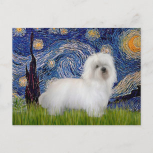 Cartão Postal Starry Night - Coton de Tulear 5