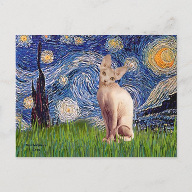 Cartão Postal Starry Night - Cream Sphynx Cat (Frente)
