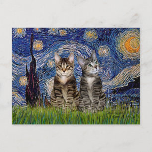 Cartão Postal Starry Night - Dois Gatos De Tigre Para Comprimido