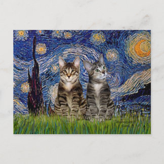 Cartão Postal Starry Night - Dois Gatos De Tigre Para Comprimido