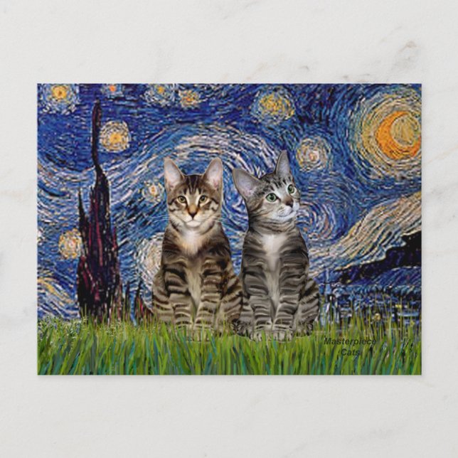 Cartão Postal Starry Night - Dois Gatos De Tigre Para Comprimido (Frente)