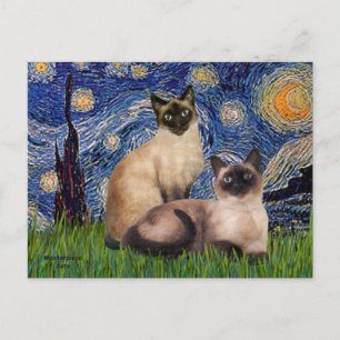 Cartão Postal Starry Night - Dois Gatos Siameses (Choc Pt)