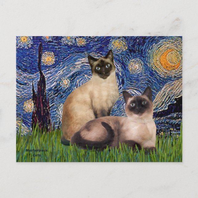 Cartão Postal Starry Night - Dois Gatos Siameses (Choc Pt) (Frente)